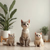 Unique Cat-themed Decorations - Elevate Your Space with Unique Cat-Themed Decorations