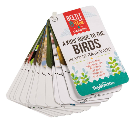 Beetle & Bee Little Birder Set – Bird Watching Kit for Kids