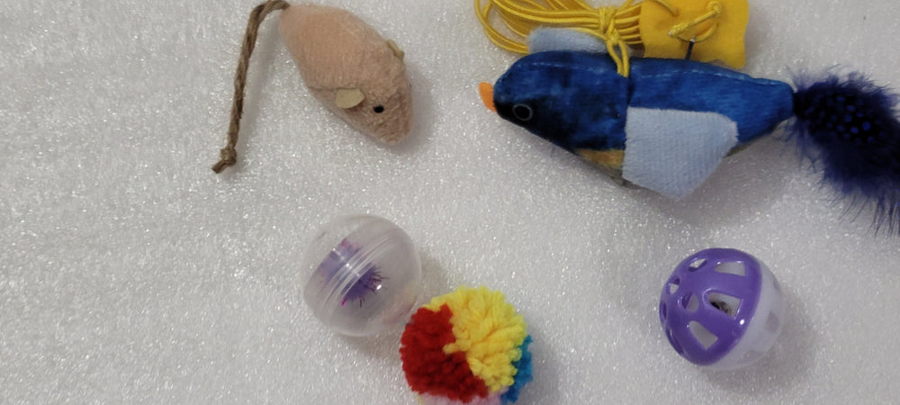 Kitty's Bag of Toys – 5 Assorted Cat Toys ($2.99 with Any Order)