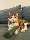 Catnip Cat Kicker Fabric Fun Tubes or Taco - Handmade in USA