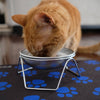 Stainless Steel Cat Bowls and Optional Stand Proudly Made in USA