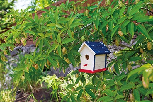 Beetle & Bee Little Birder Set – Bird Watching Kit for Kids