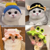 Hand-Crocheted Hats for Cats for Dress Up & Cuteness