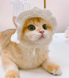 Hand-Crocheted Hats for Cats for Dress Up & Cuteness