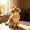 Hand-Crocheted Hats for Cats for Dress Up & Cuteness