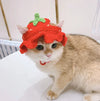 Hand-Crocheted Hats for Cats for Dress Up & Cuteness