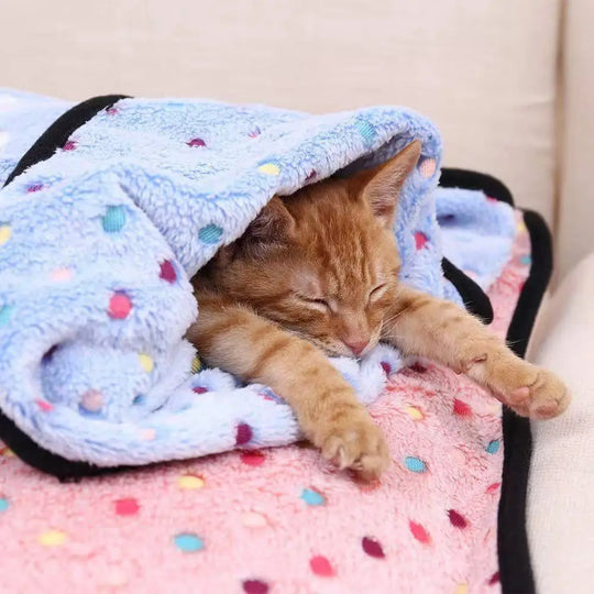 Super Soft Cute Kitty Flannel Blanket – Cozy Cat Throw in 3 Colors & Multiple Sizes
