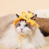 Hand-Crocheted Hats for Cats for Dress Up & Cuteness