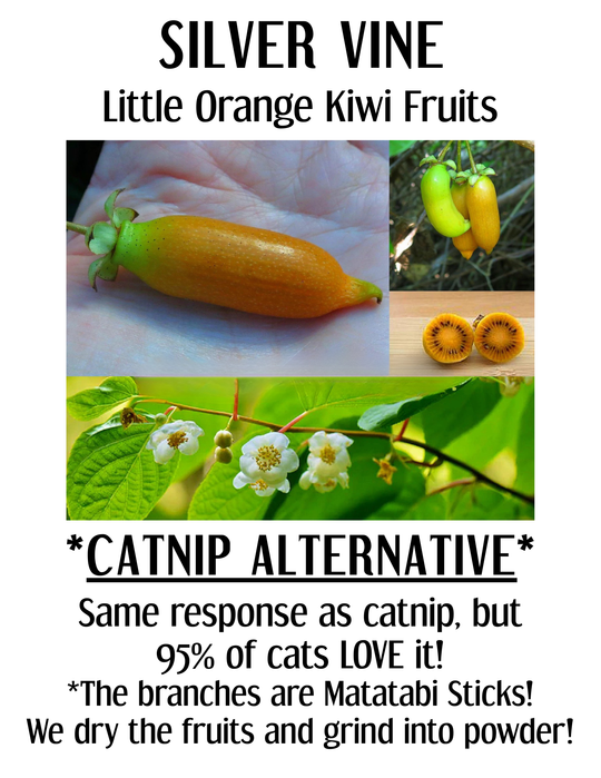 Natural Silvervine (Matatabi) Sticks for Cats – Made in USA Cat Chew Toy
