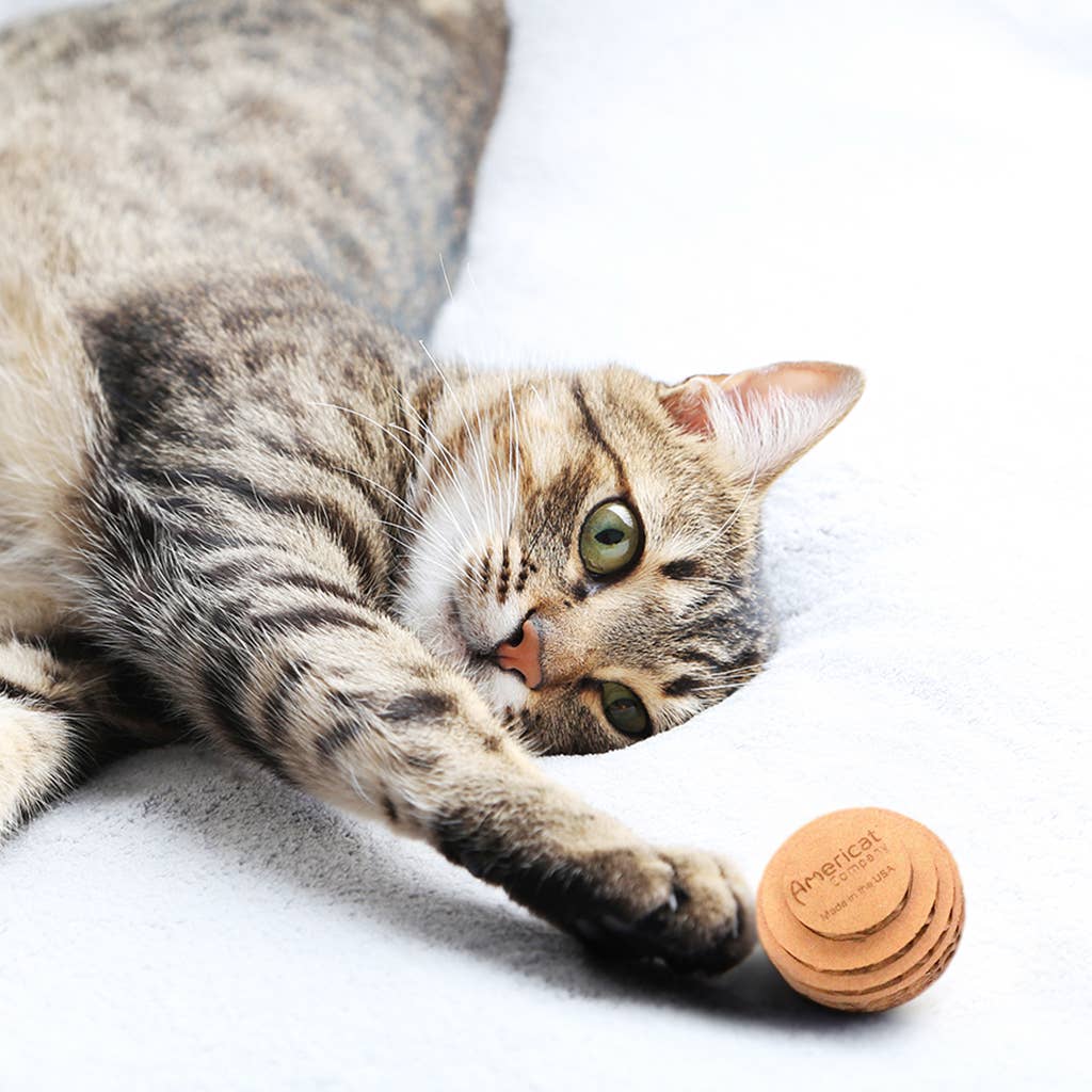 Kitty Batta-Balls Cat Toy – Made in USA Interactive Cat Toy