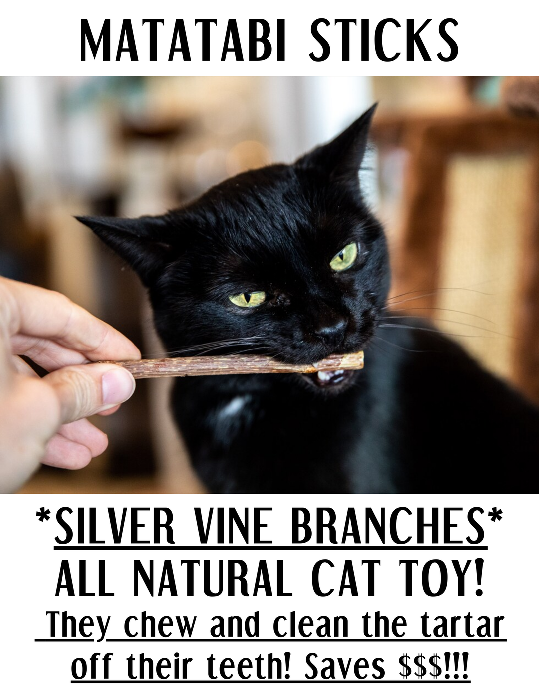 Natural Silvervine (Matatabi) Sticks for Cats – Made in USA Cat Chew Toy