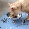 Stainless Steel Cat Bowls and Optional Stand Proudly Made in USA