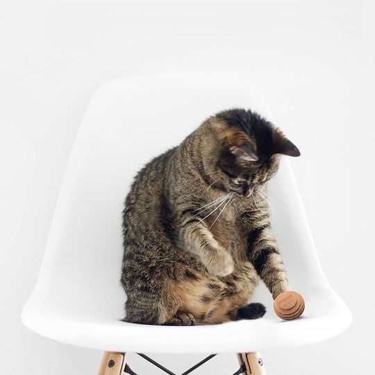 Kitty Batta-Balls Cat Toy – Made in USA Interactive Cat Toy
