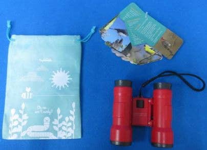 Beetle & Bee Little Birder Set – Bird Watching Kit for Kids